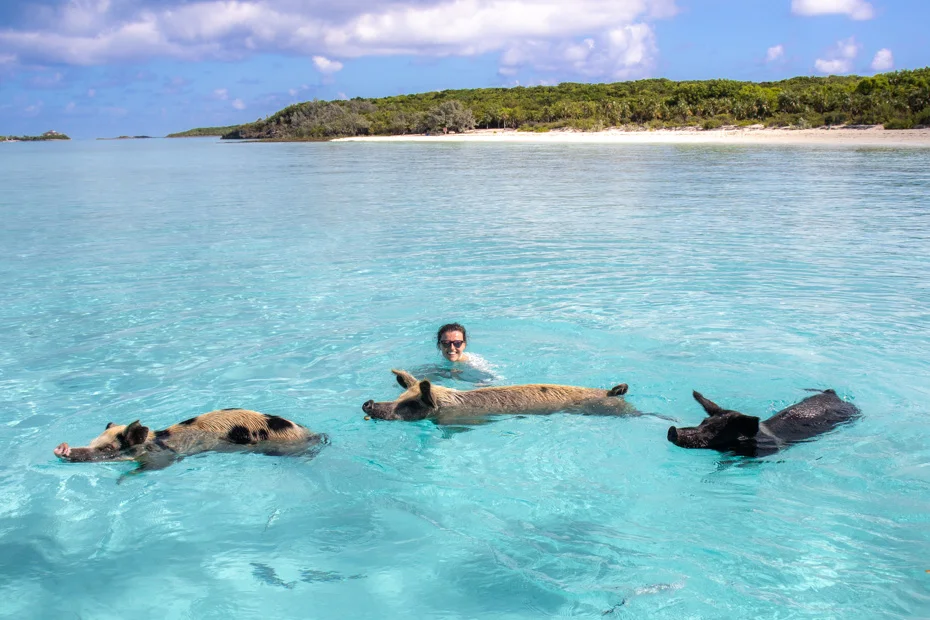 Nassau to Pig Beach Day Trip