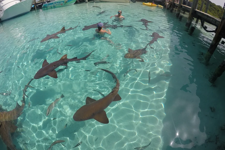 Compass Cay Marina