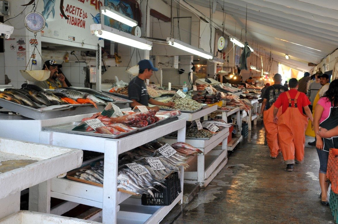 Ensenada Fish Market