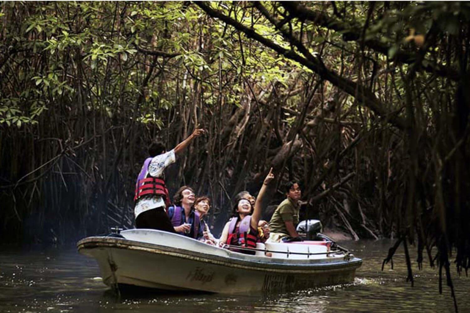 Bentota River Safari Photos
