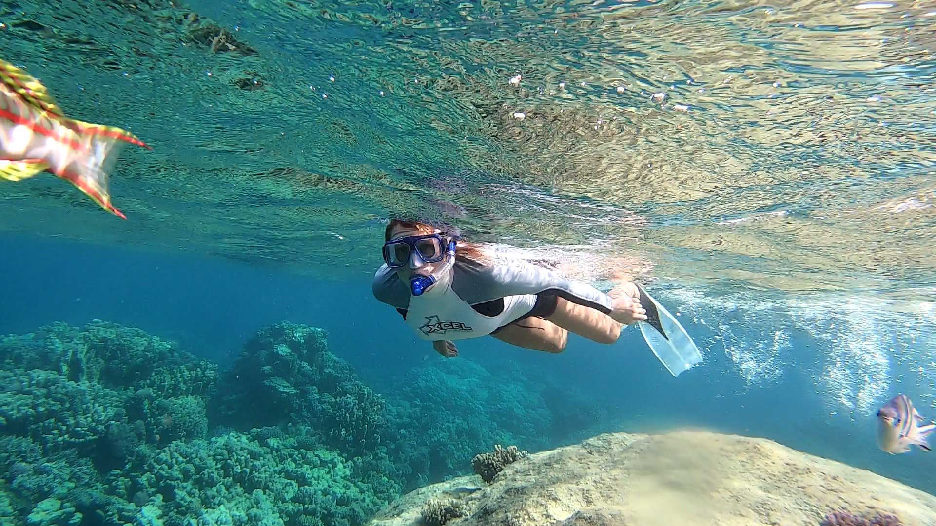 Excursion Snorkeling El Gouna