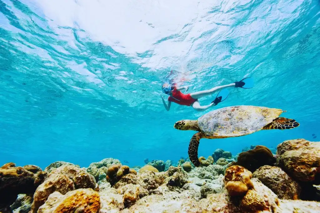 Is There Good Snorkeling in Tulum