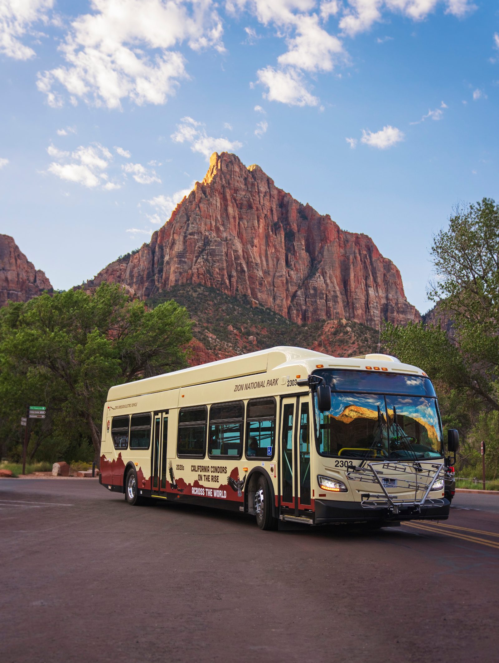 Do You Have to Take a Shuttle Into Zion National Park