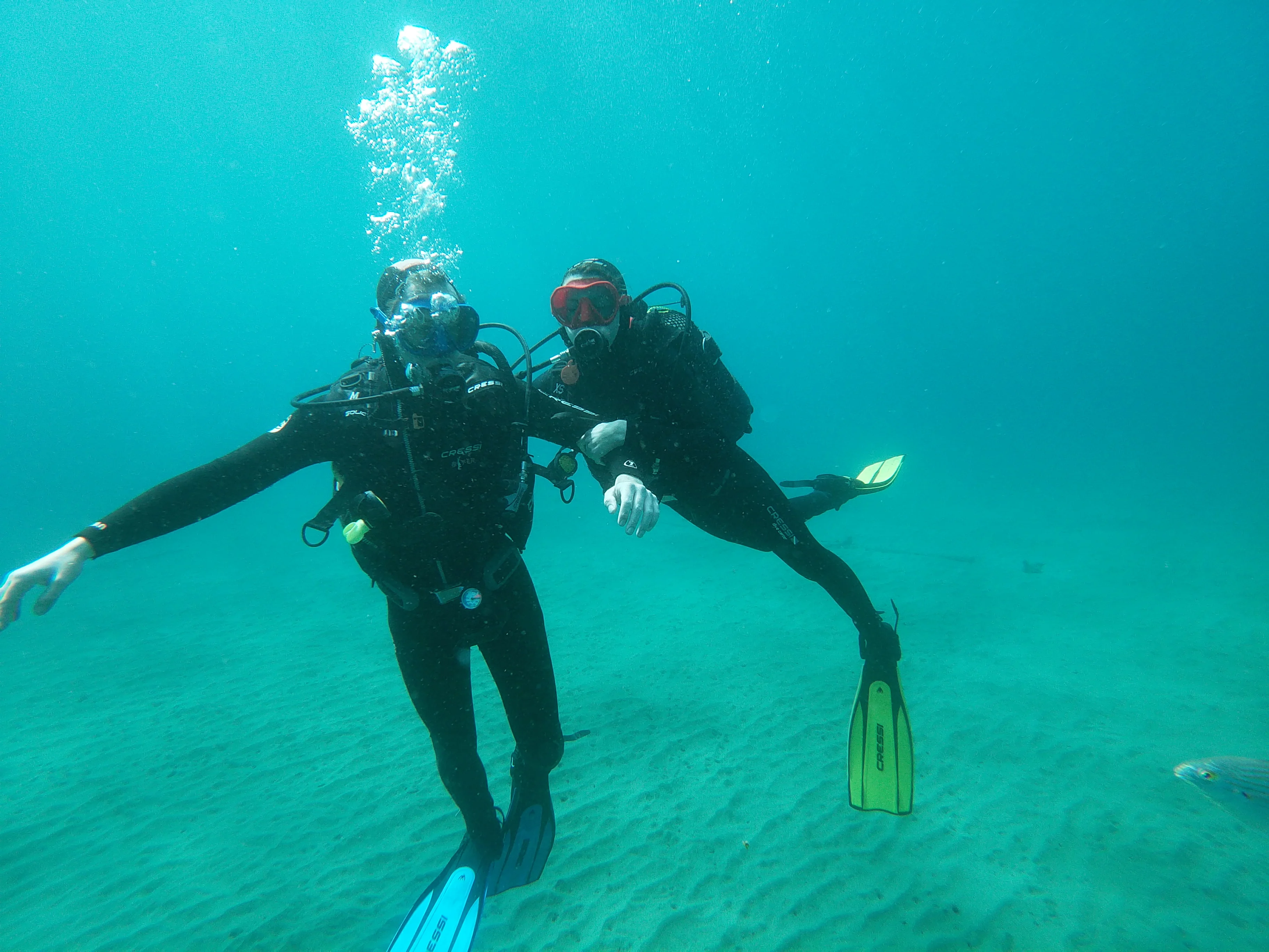 Scuba Diving Morocco Price