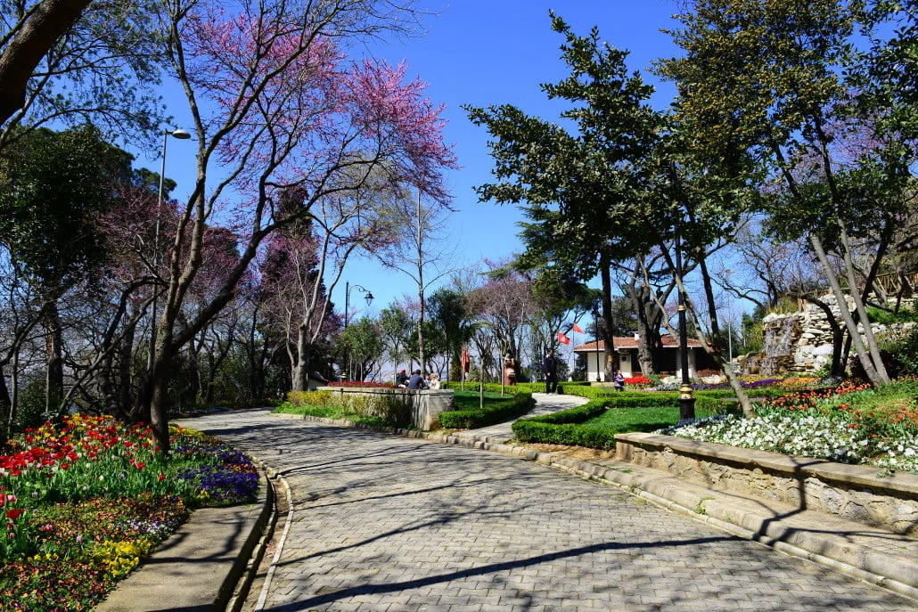 Fethi Pasa Grove