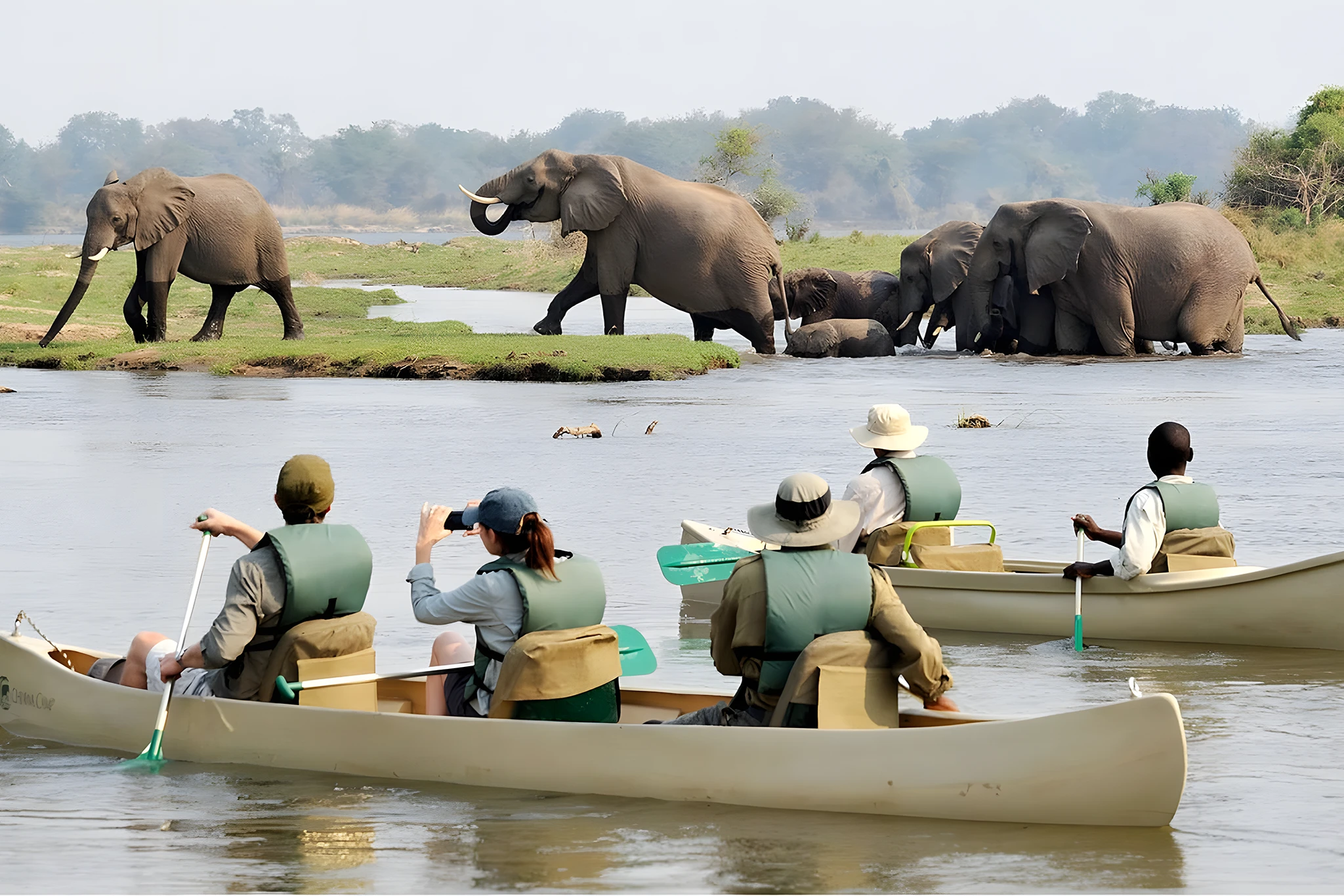 Rufiji River Boat Safari