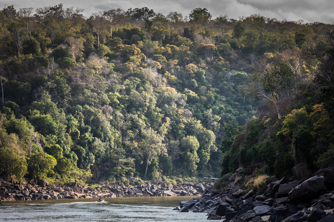 Stiegler's Gorge