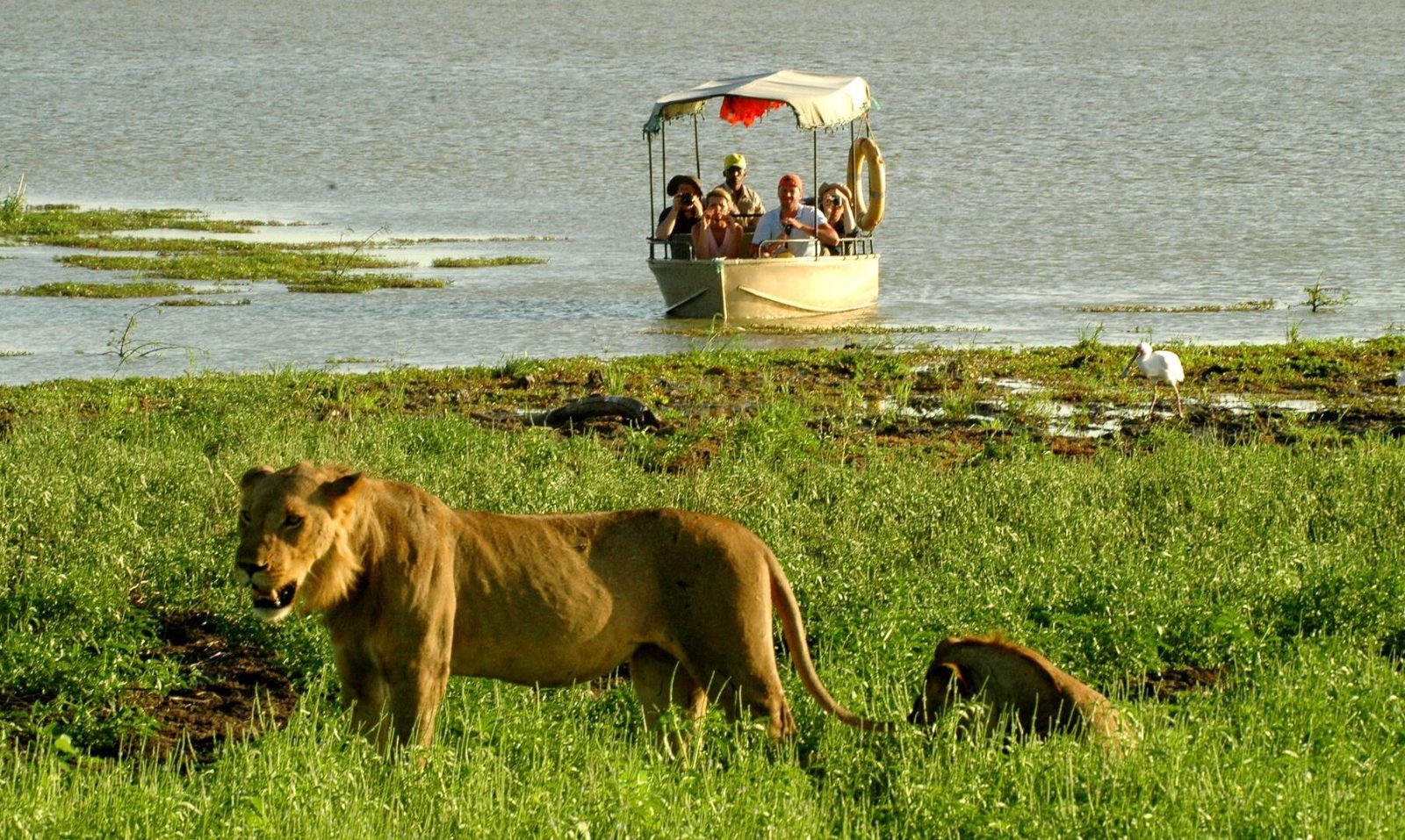 2 Days Selous Safari From Zanzibar