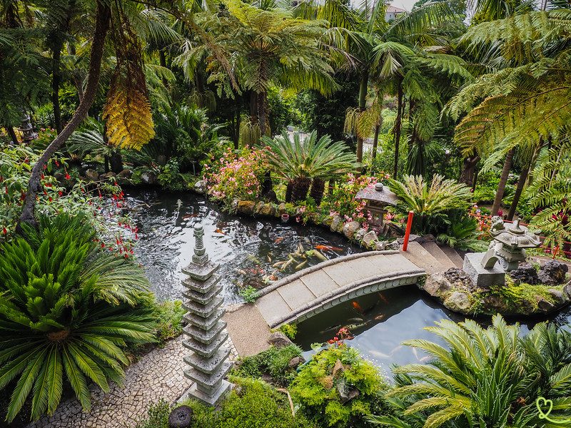 Monte Palace Tropical Garden