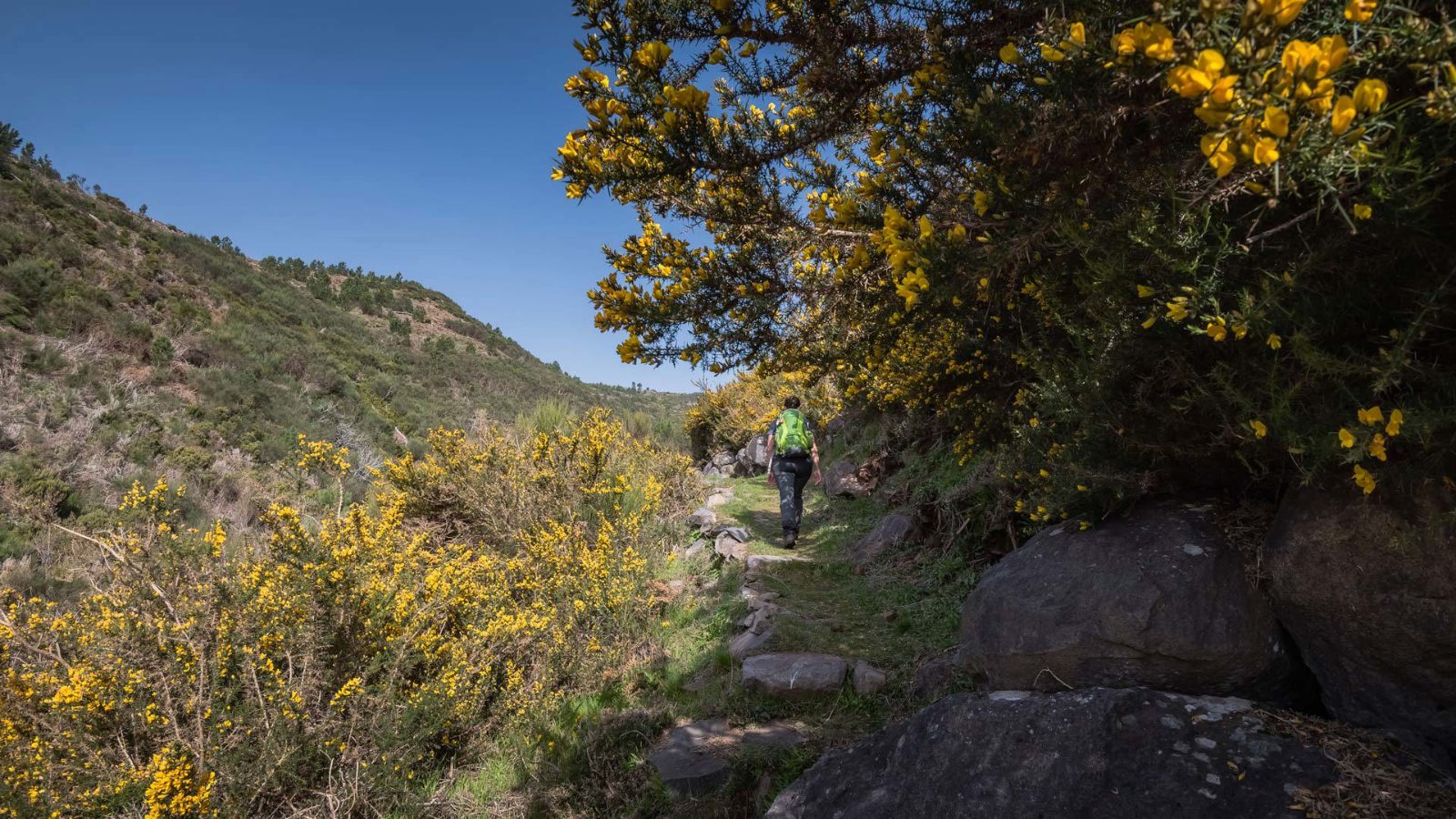 Chão da Lagoa Trailhead