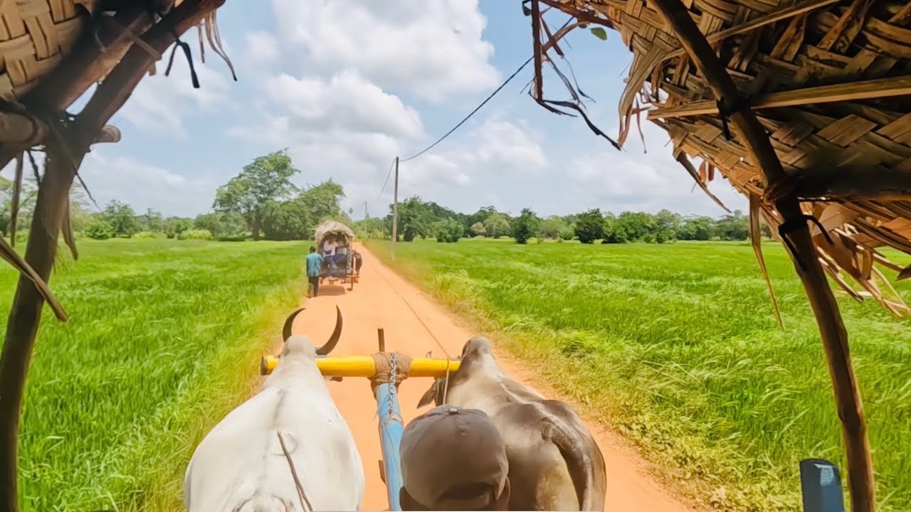 Hiriwadunna Village Tour Ticket Price