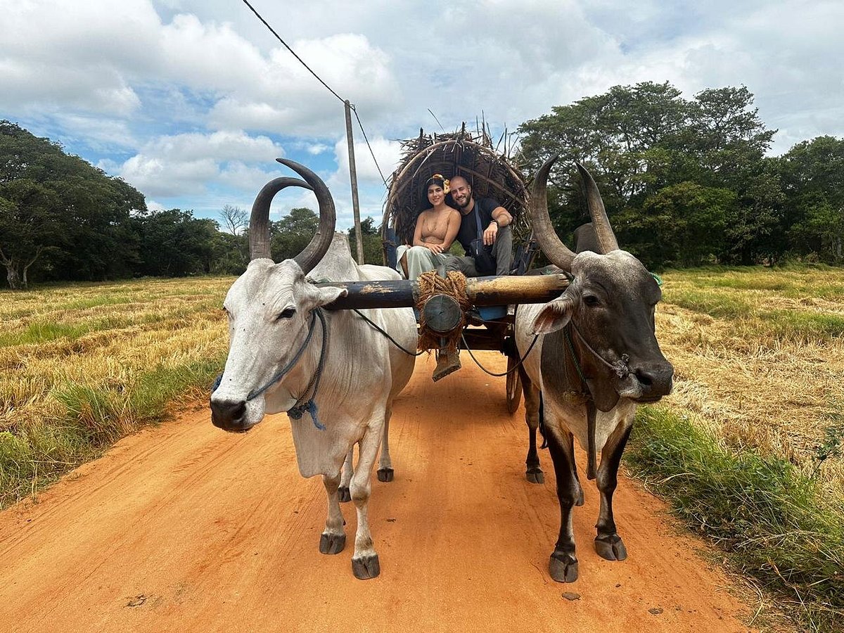 Hiriwadunna Village Tour Details