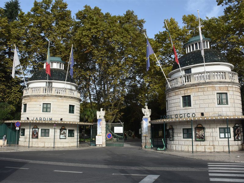 Lisbon Zoo Tickets Discount