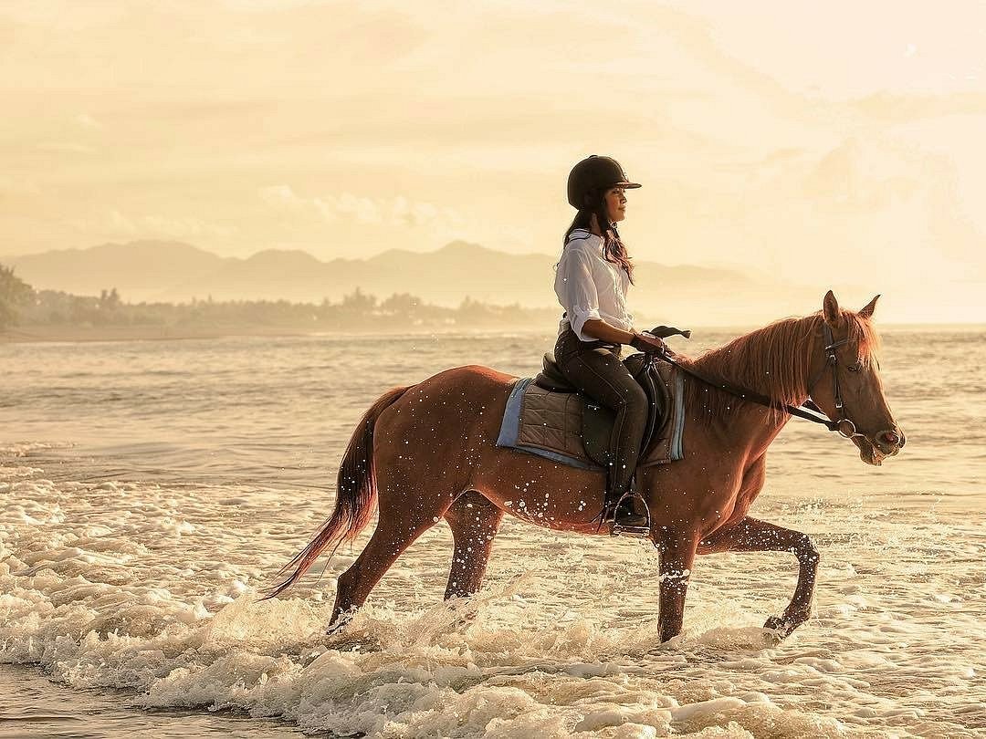 Bali Horse Riding Lessons