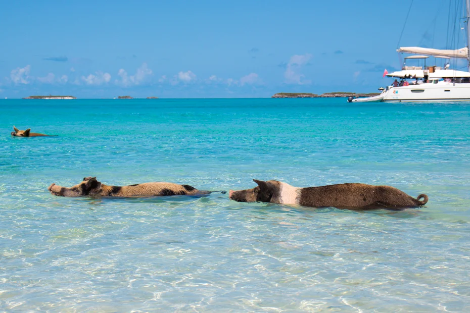 Big Major Cay Beach