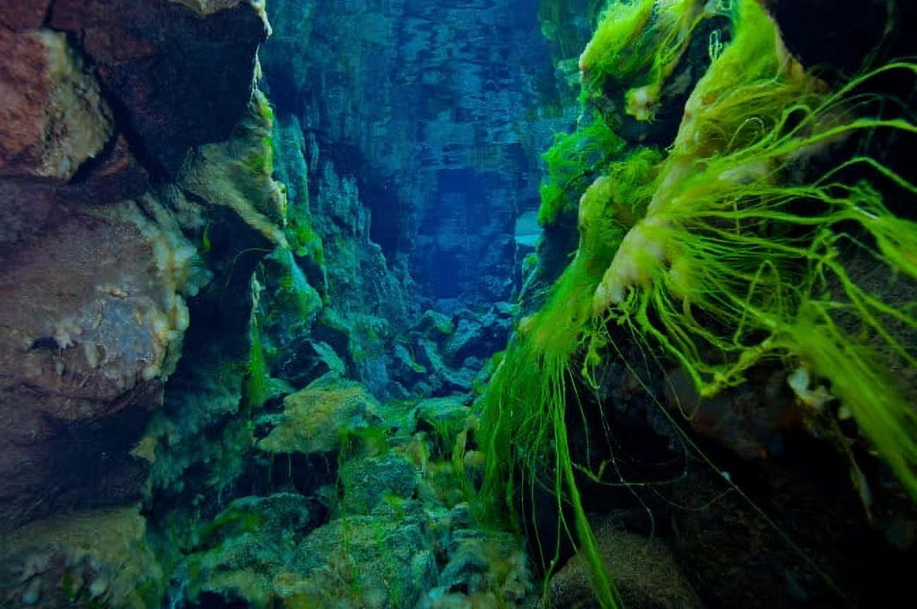 Silfra Lagoon
