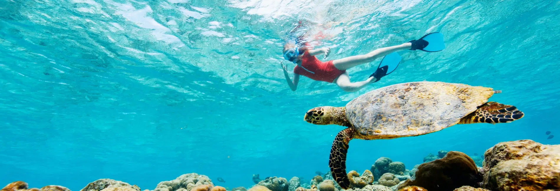 Best Snorkeling Resort in Cancun