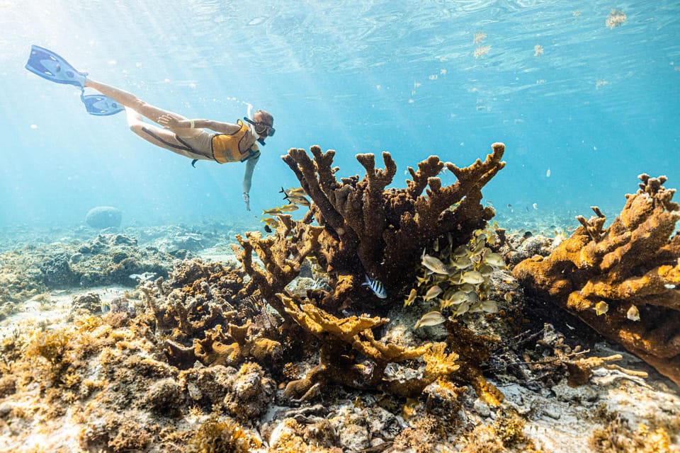 Nizuc Reef