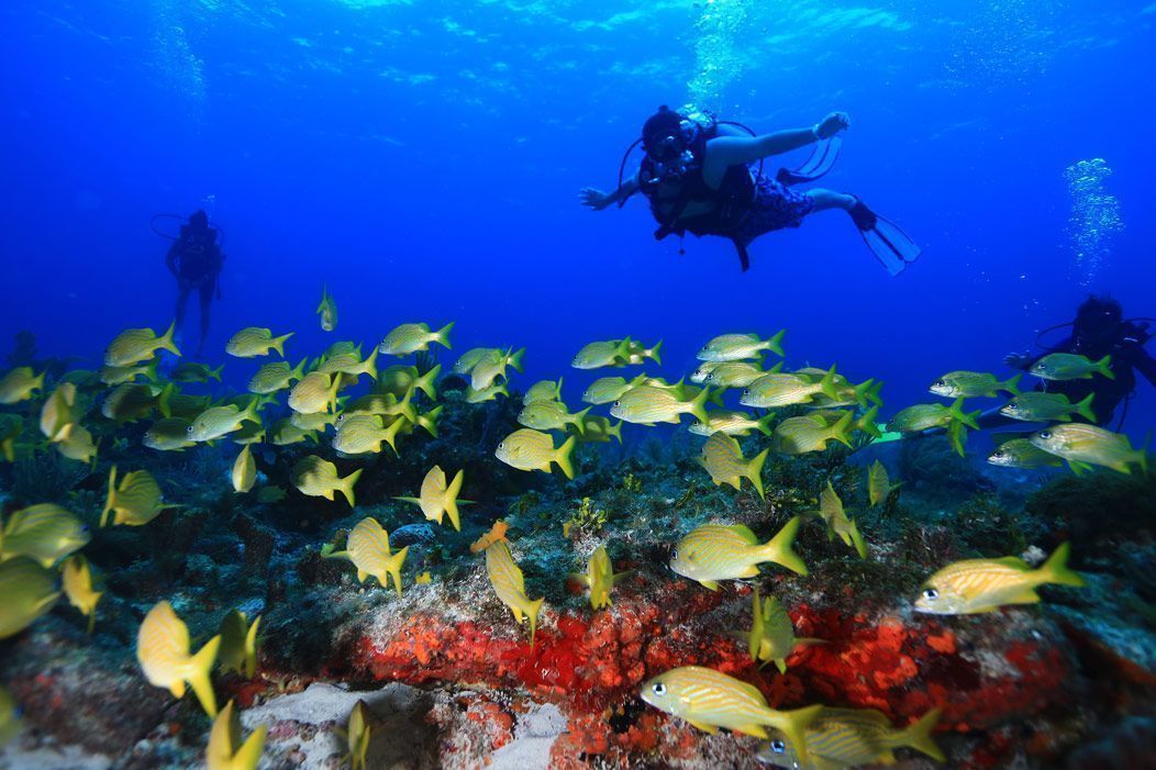 Punta Cancún