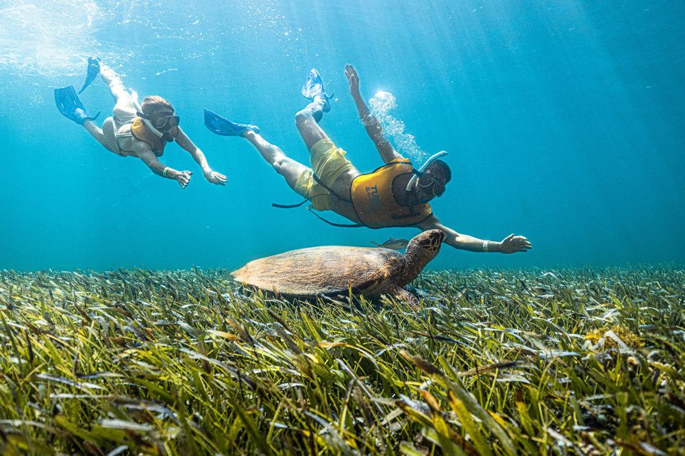 Best Time for Snorkeling in Cancun