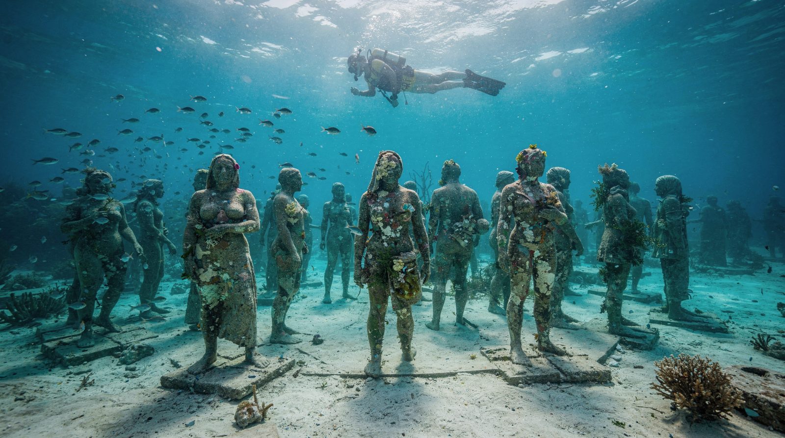 Is Cancun Good for Snorkeling