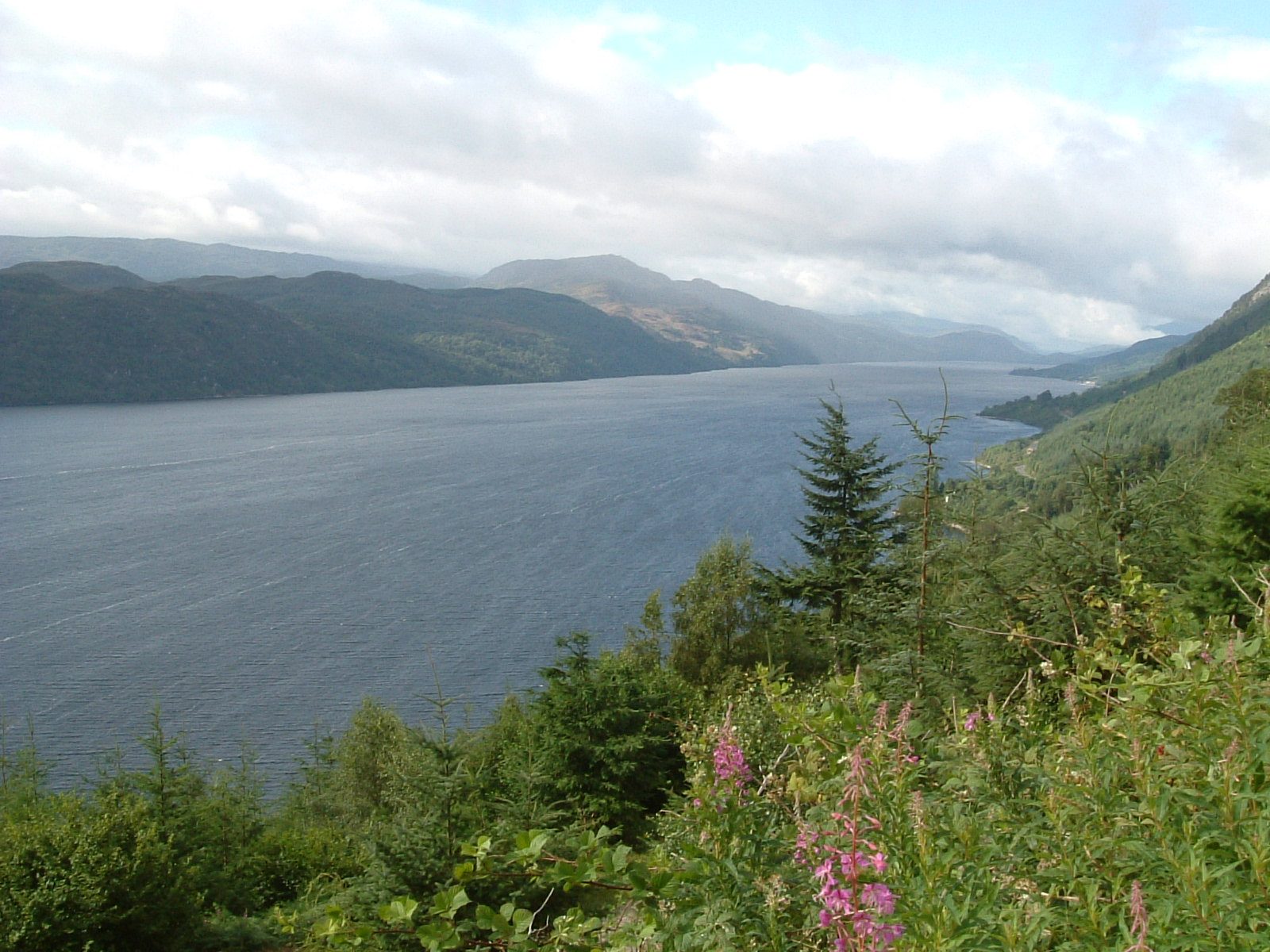 Loch Ness shore