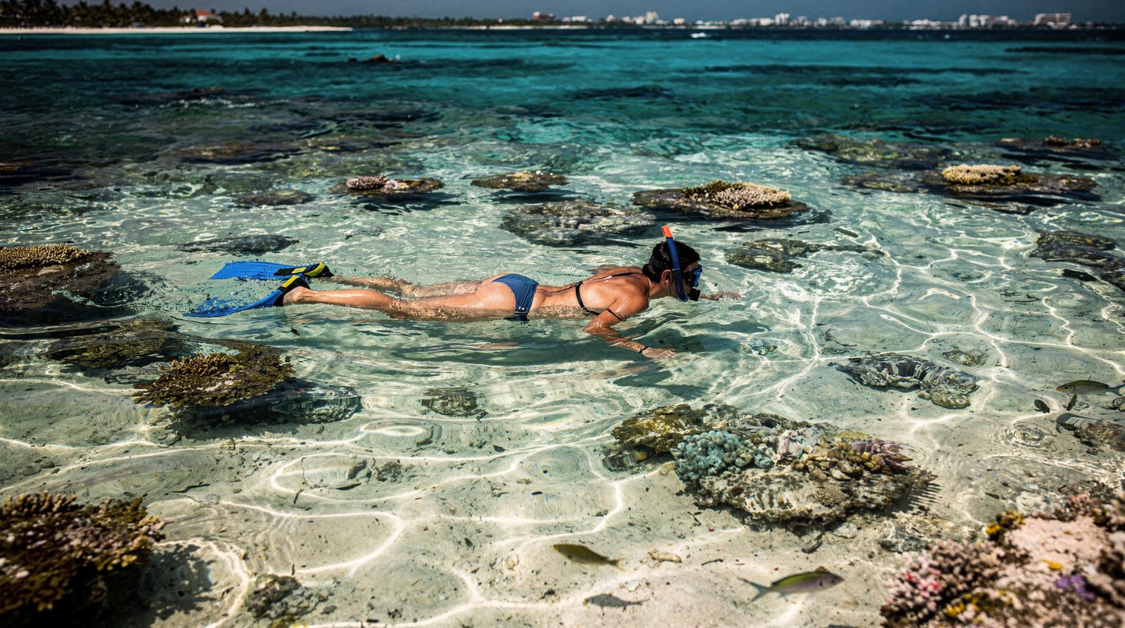 Best Snorkeling in Cancun Hotel Zone
