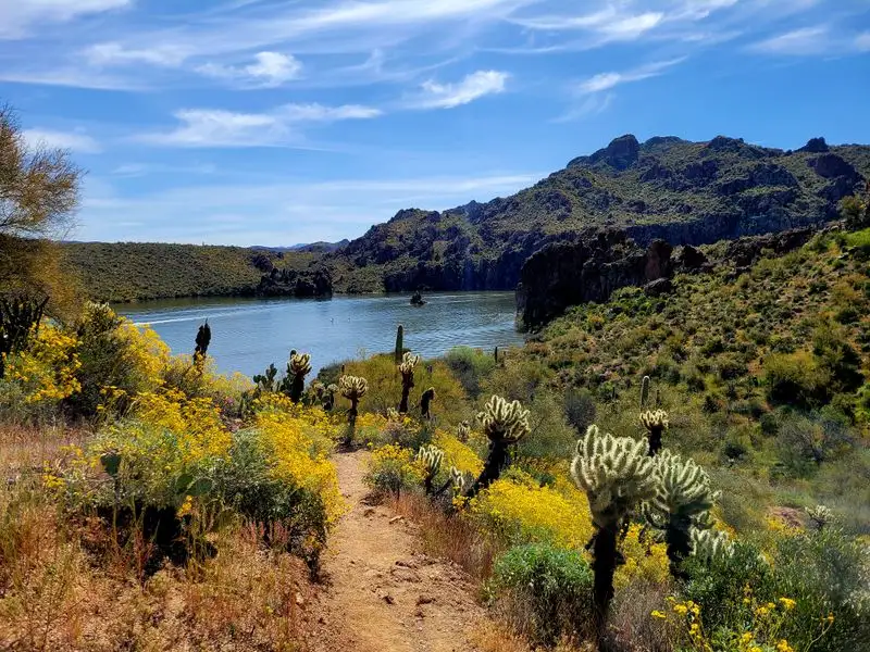Butcher Jones Recreation Site