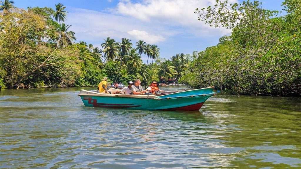 Madu Ganga Boat Safari Balapitiya Reviews