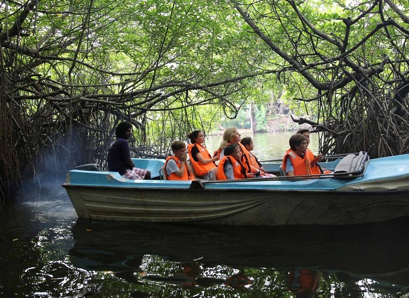 Madu Ganga Boat Safari Balapitiya