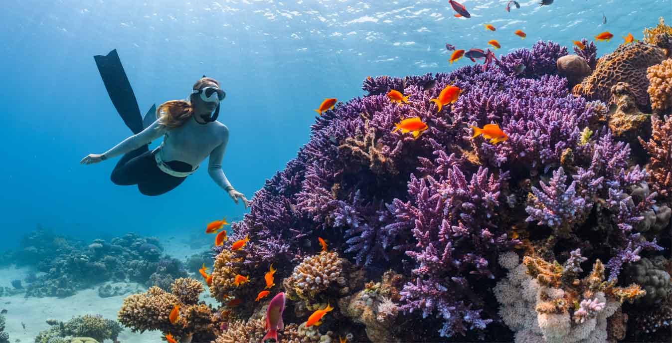 Gili Air Snorkeling Price