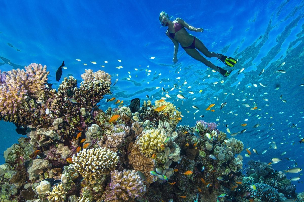 Giftun Island House Reef