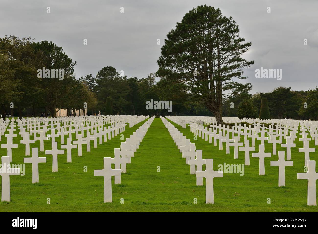 Cemetery Rows of White Headstones