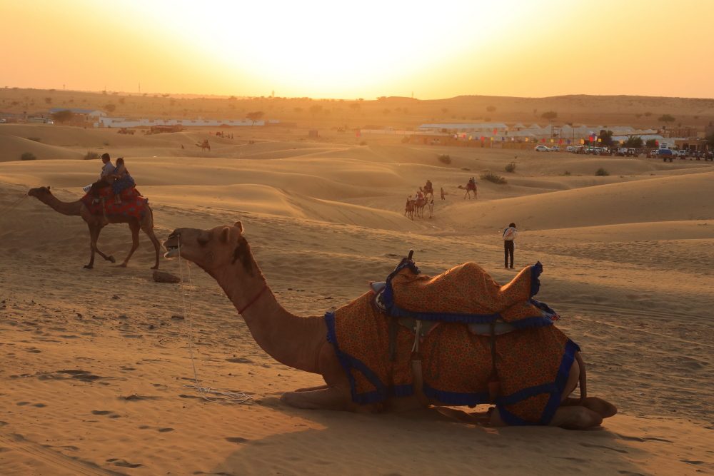 Desert Safari Jaisalmer Photos