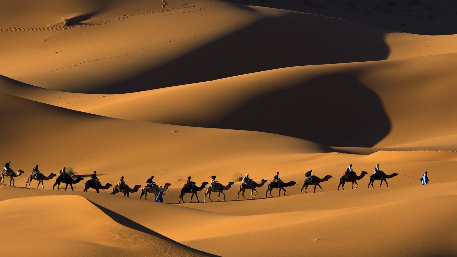 Camel Caravan Trail