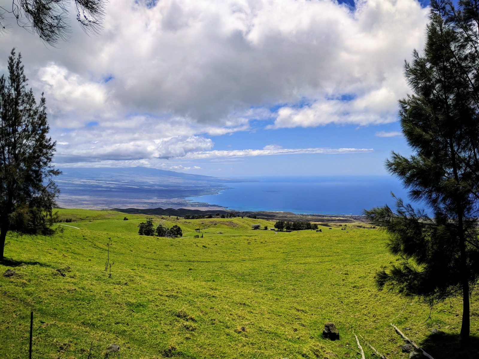 Waimea District