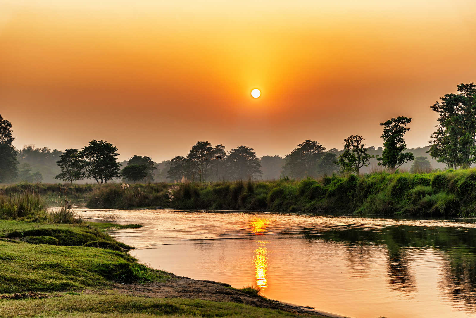 Chitwan Jungle Safari in Nepal's Terai
