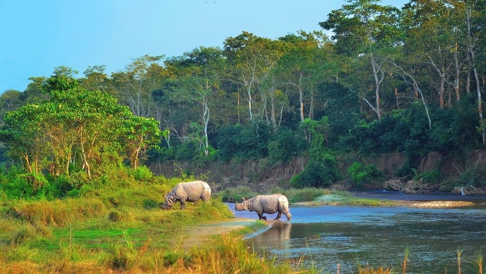 Chitwan Jungle Safari