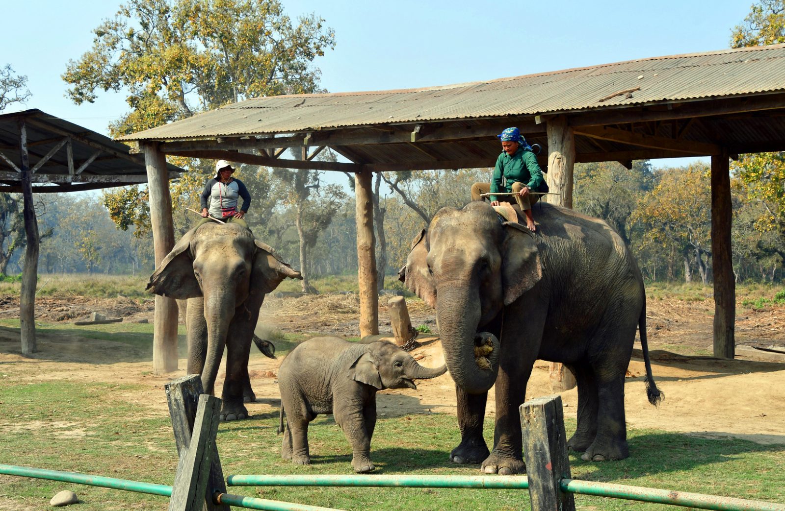 Khorsor Elephant Breeding Center
