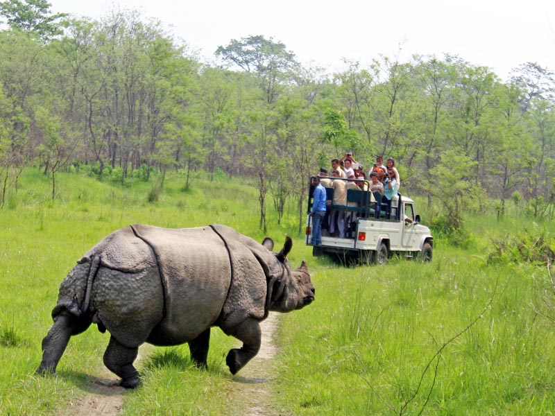 Jeep Safari Exploration