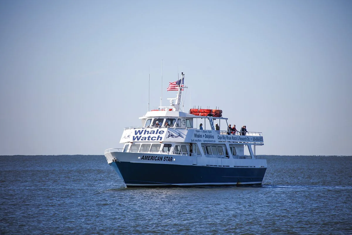 Best Cape May Boat Tours