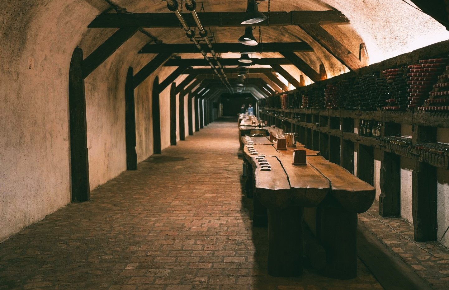 Kvareli Wine Cave tasting