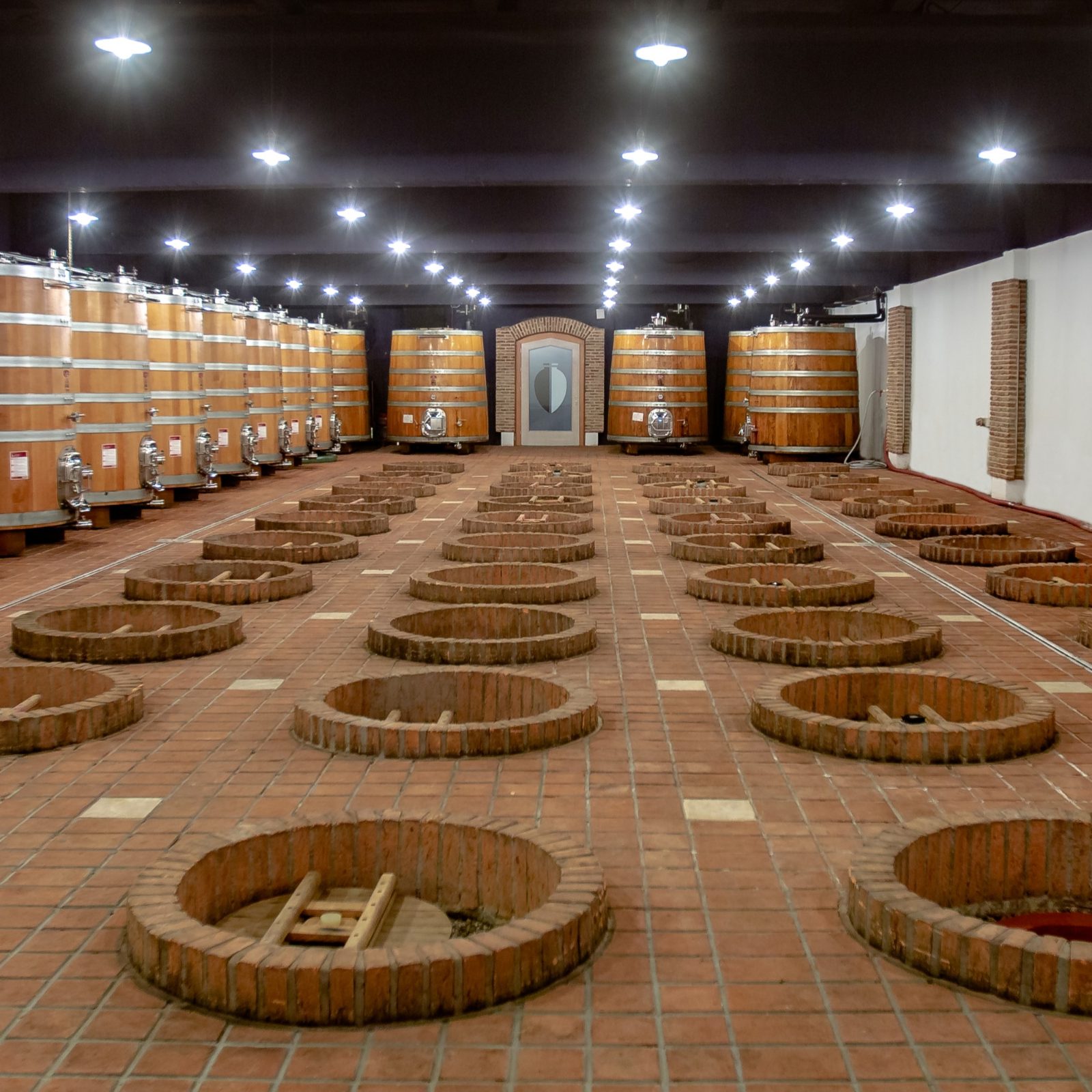 Wine Tasting in Telavi