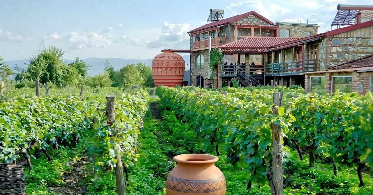 Kakheti Wine Tour