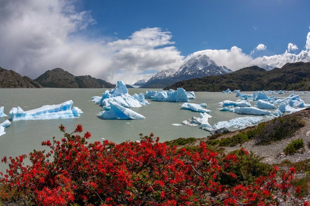 Mirador Lago Grey