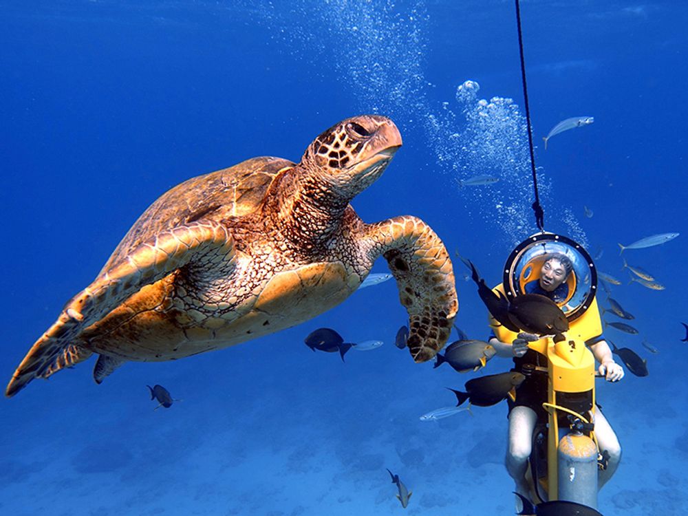 Scooter Diving Oahu