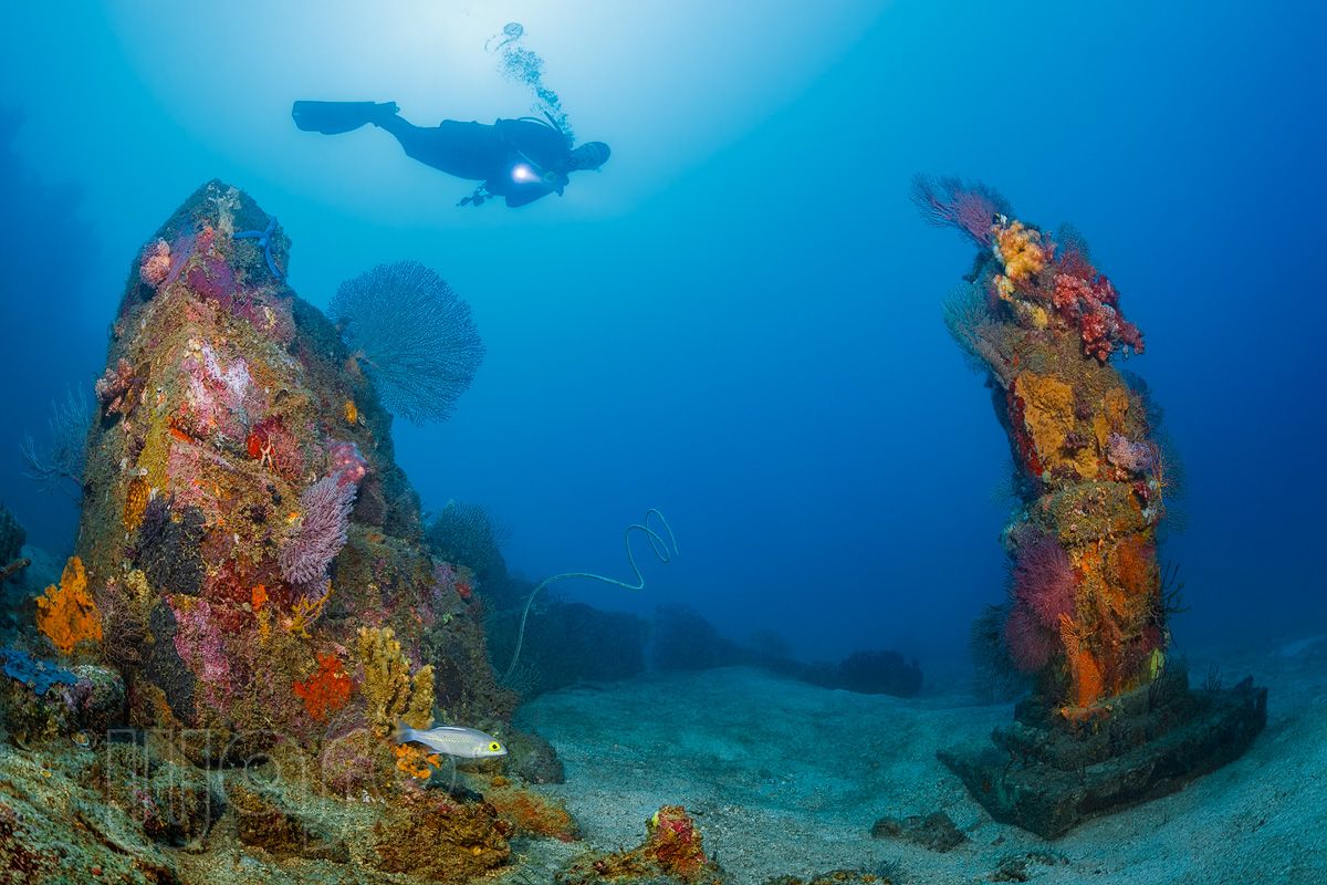 Eel Garden