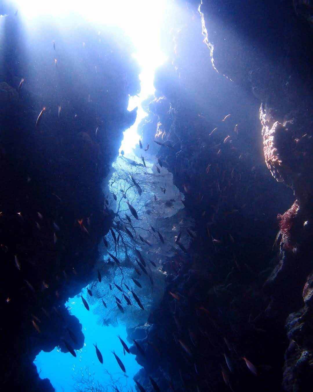 Bat Cave