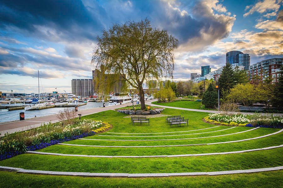 Toronto Music Garden