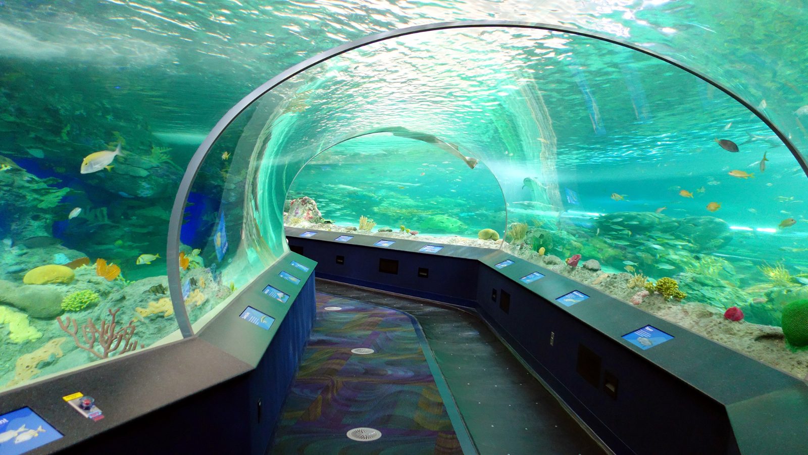 Ripley's Aquarium of Canada